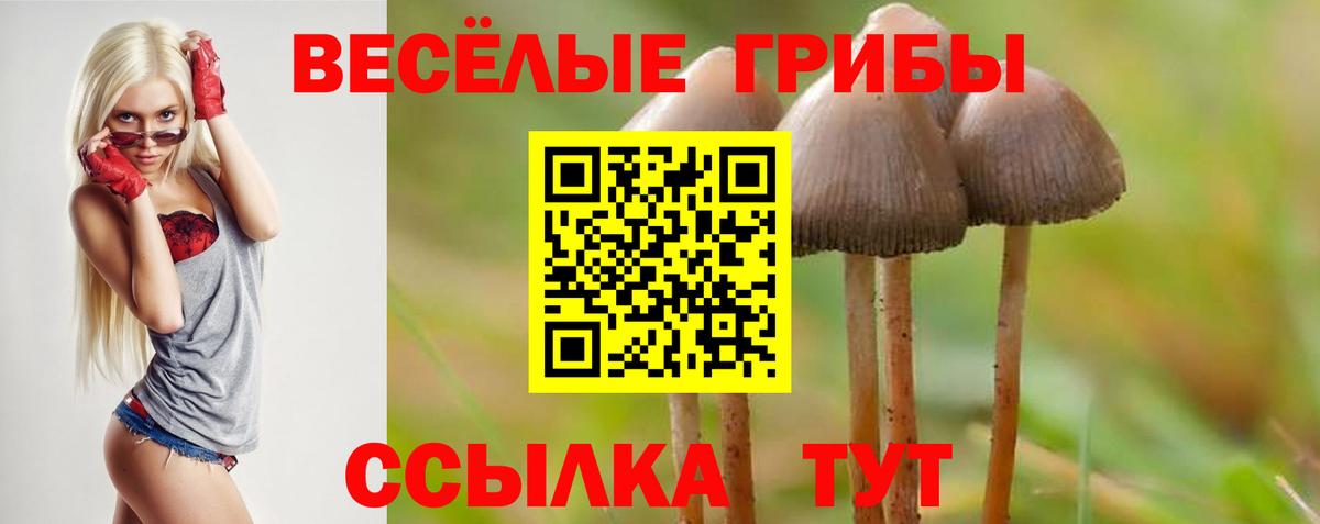 Галлюциногенные грибы мицелий  Вход с VPN  Усолье-Сибирское 